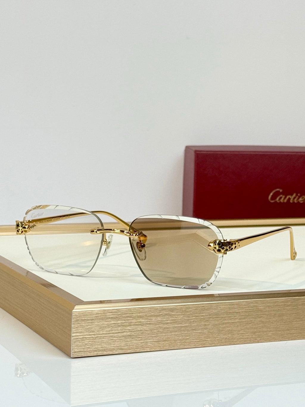 Cartier CT7450S Sunglasses